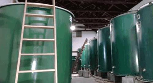 Row of green fermentation tanks inside the brewery