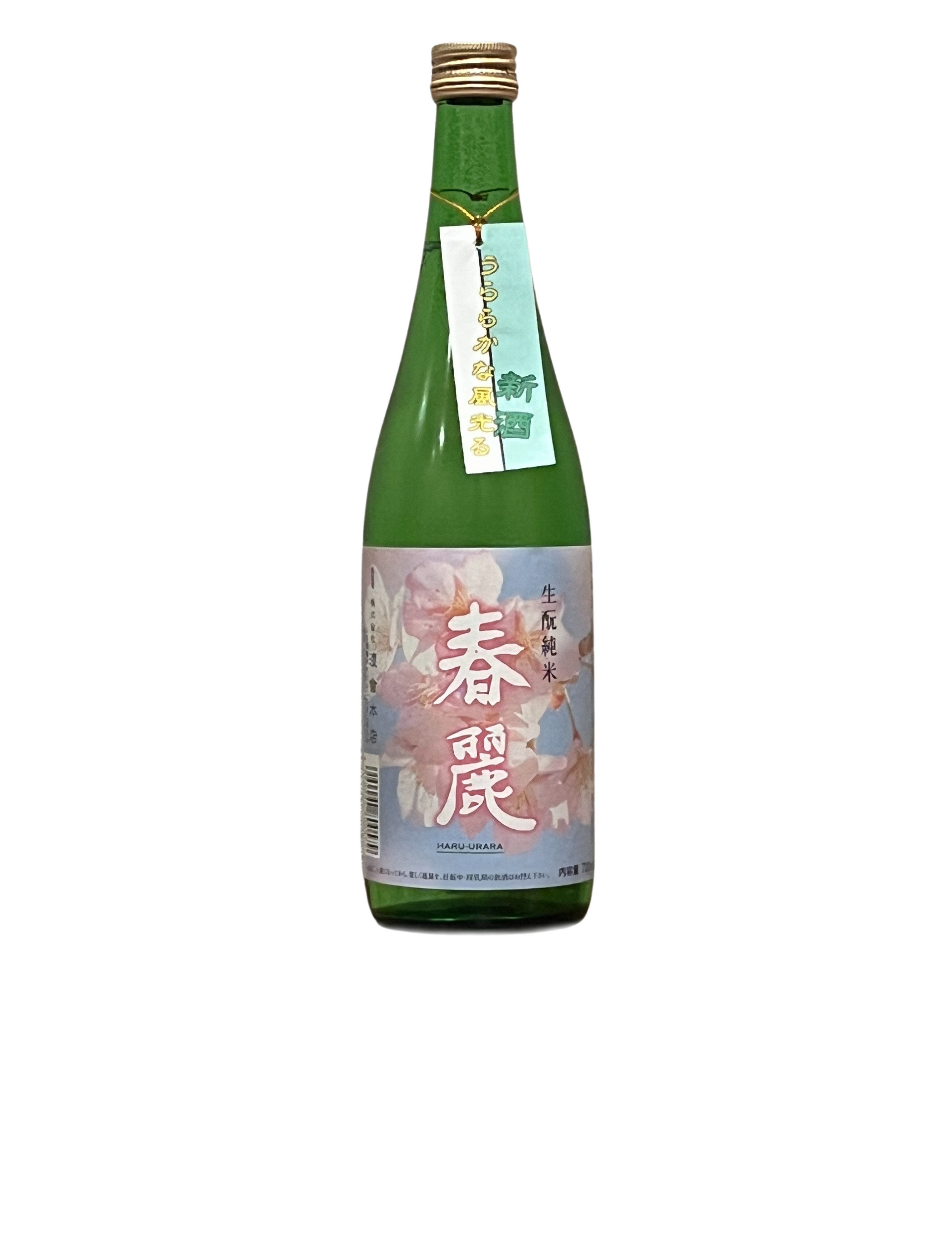 春麗 きもと純米酒