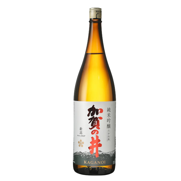 Kaganoi 준마이 긴죠 Takane Nishiki