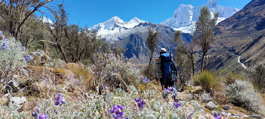 Lucio Huayhua Expeditions - Vista de los Nevados Chacraraju y Pisco en la ruta al Nevado Chopicalqui