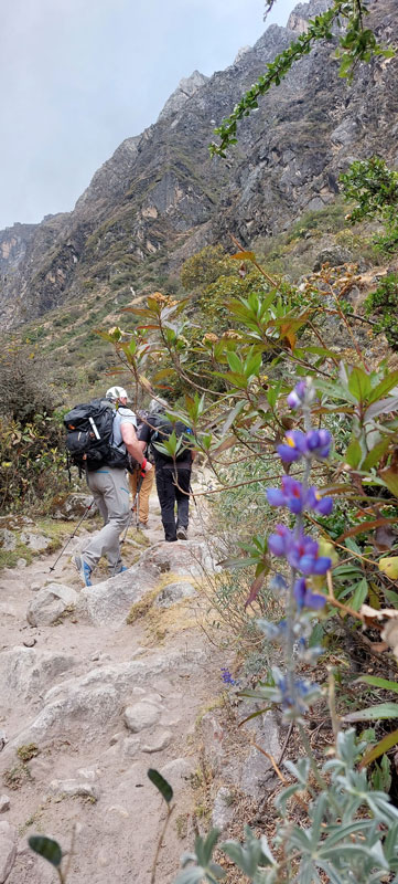 Lucio Huayhua Expeditions - Trekking Santa Cruz
