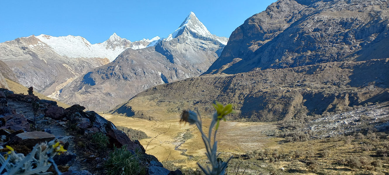 Lucio Huayhua Expeditions - Nevado Artesonraju