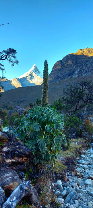 Lucio Huayhua Expeditions - Vista del Nevado Artesonraju