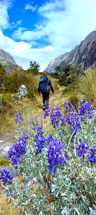 Lucio Huayhua Expeditions - Descendiendo del Nevado Pisco