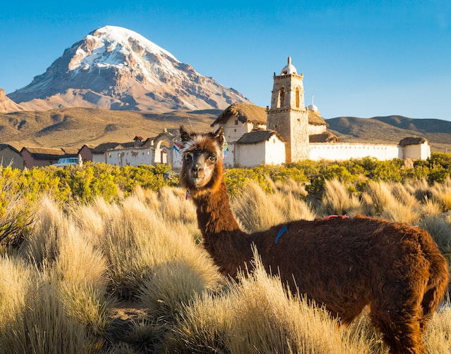 Lucio Huayhua Expeditions - Pueblo de sajama