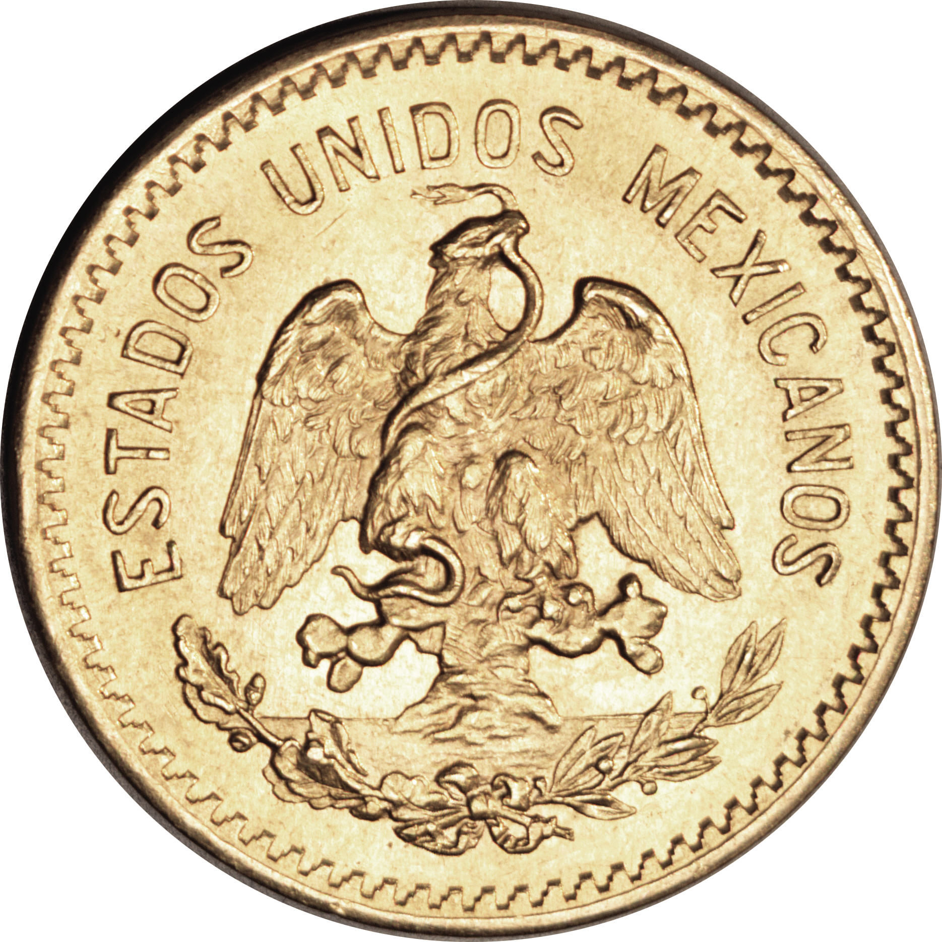 1908 Estados Unidos Type 1 10 Pesos
