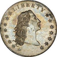 Flowing Hair Half Dollar half dollars coin