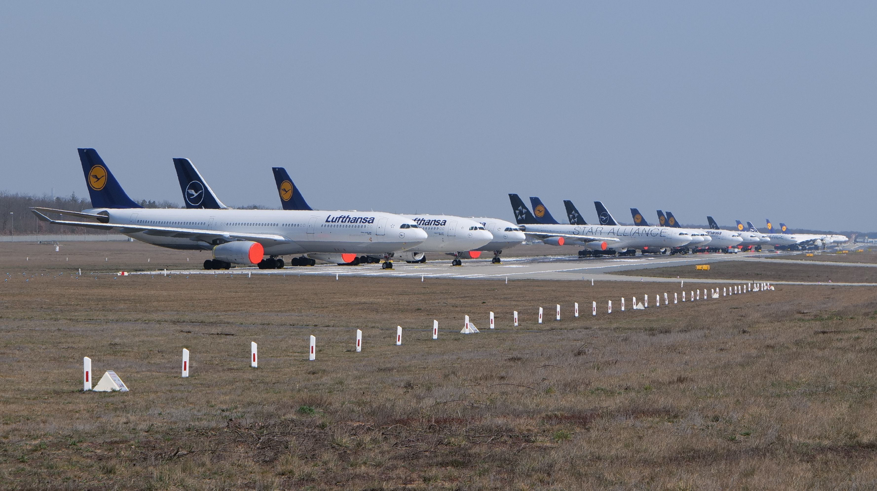 Eine lange Reihe abgestellter Lufthansa-Flugzeuge auf dem Frankfurter Flughafen während der Zeit der Geisterflüge 2021-2022.