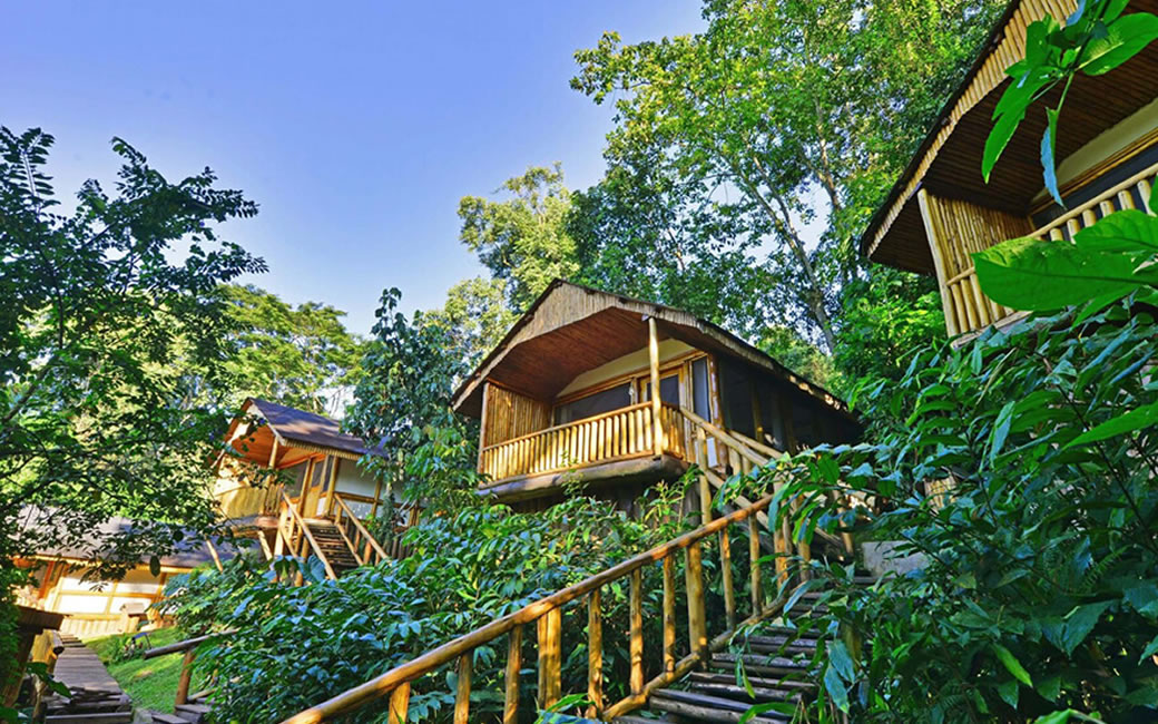 Buhoma Lodge - Bwindi Impenetrable Forest