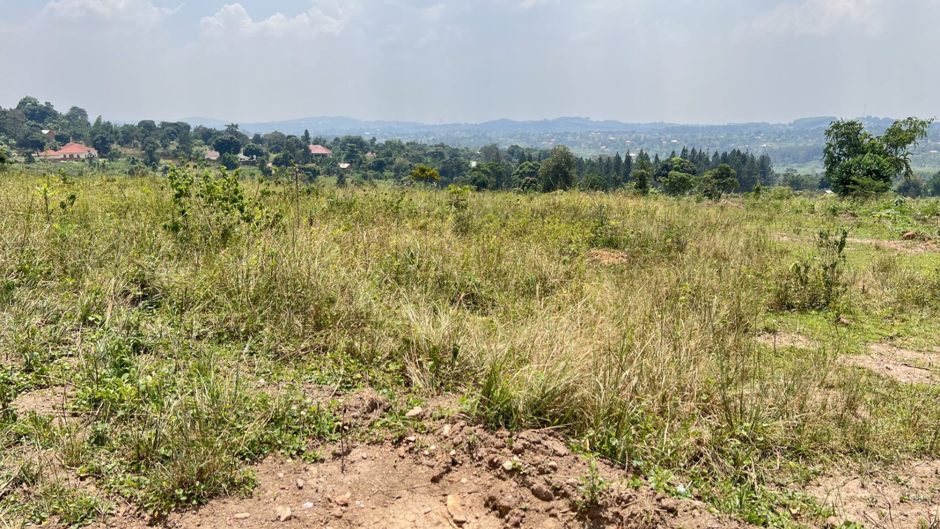 Zion Estates