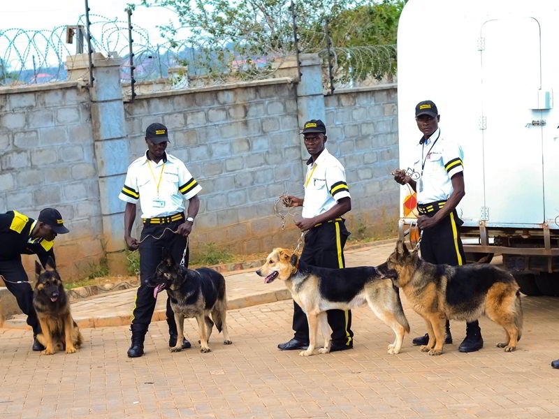 Tight Security Limited