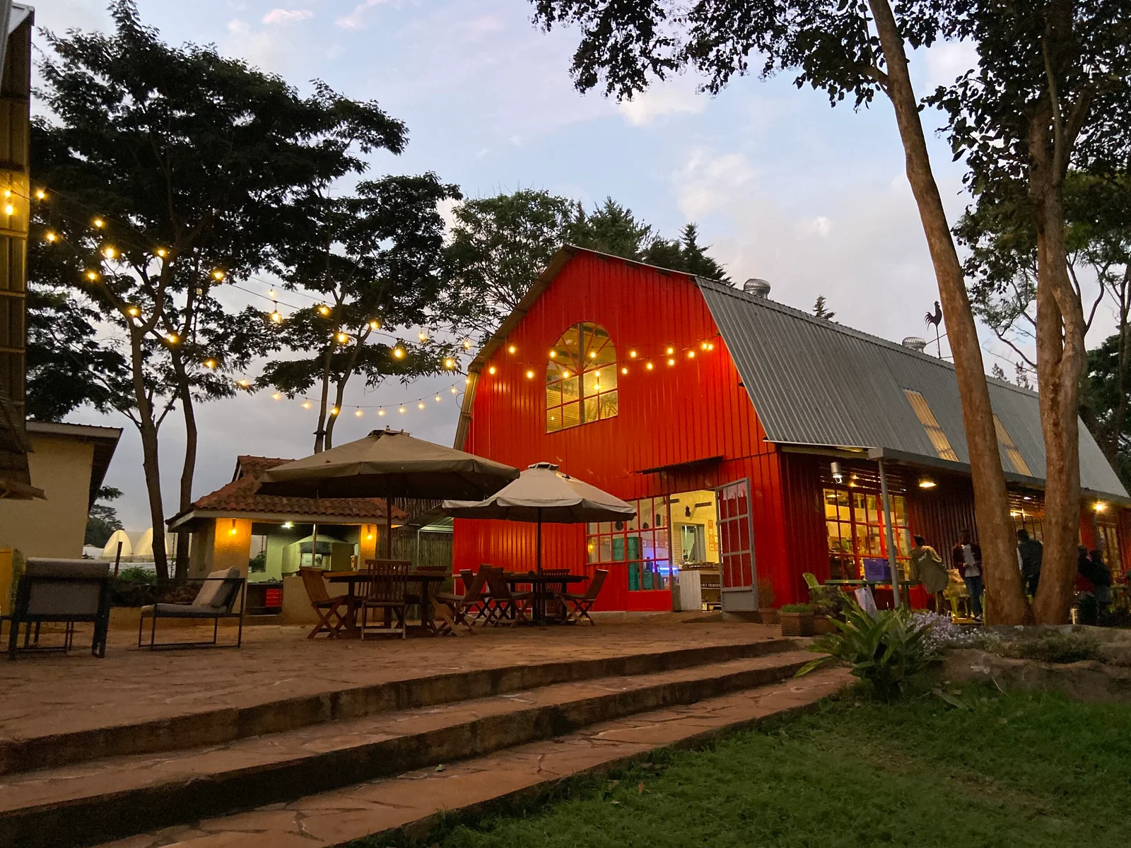 Shamba Cafe & Shop