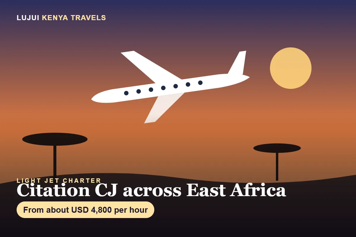 Citation CJ Light Jet Charter in East Africa from Nairobi image 1