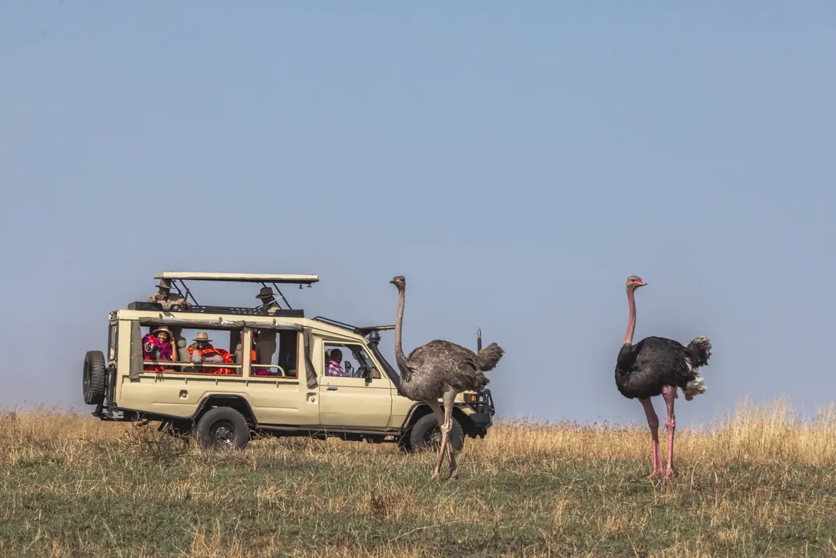 Lake Nakuru Day Trip from Nairobi with Rhino Game Drive image 4