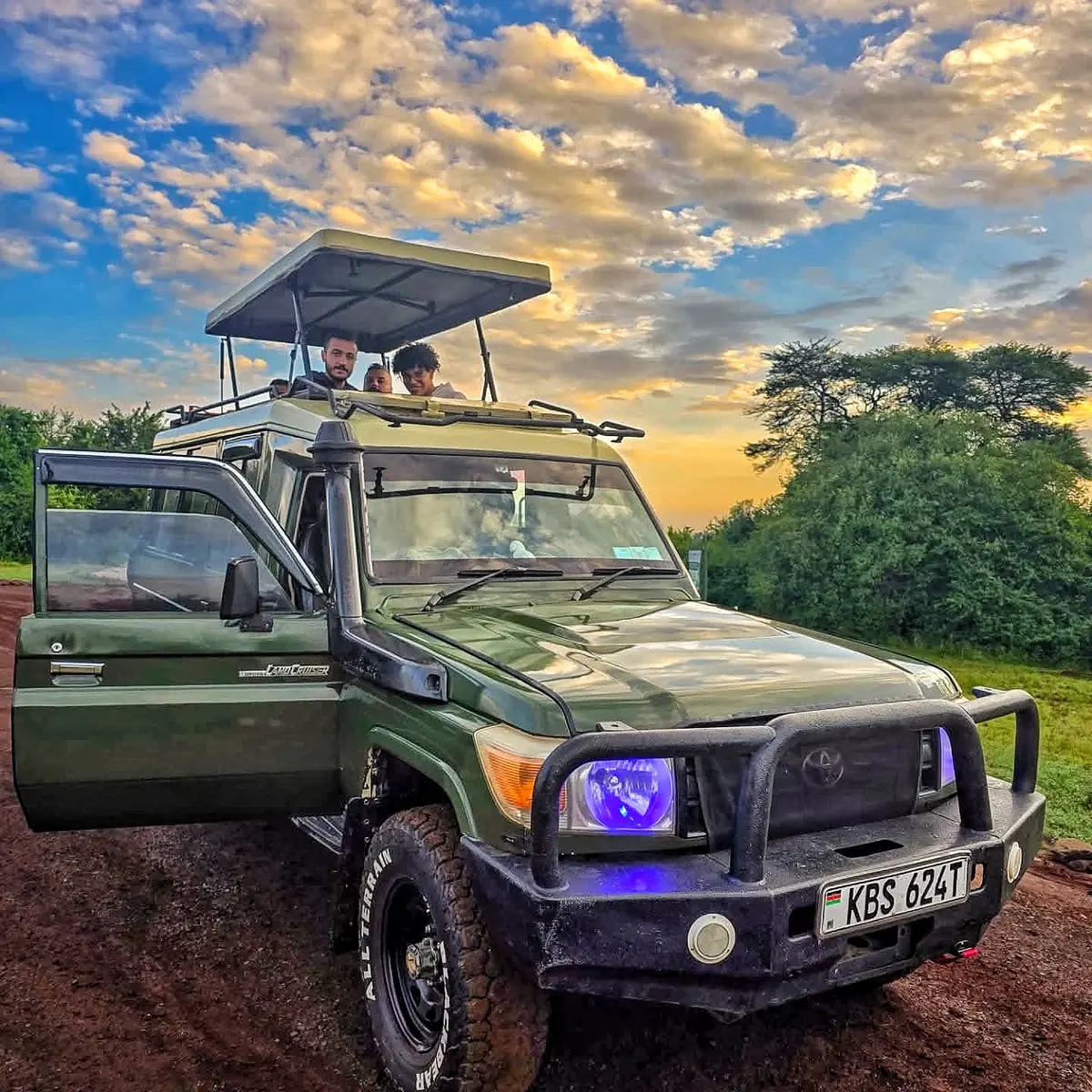 Nairobi National Park Game Drive and Carnivore Dinner image 1