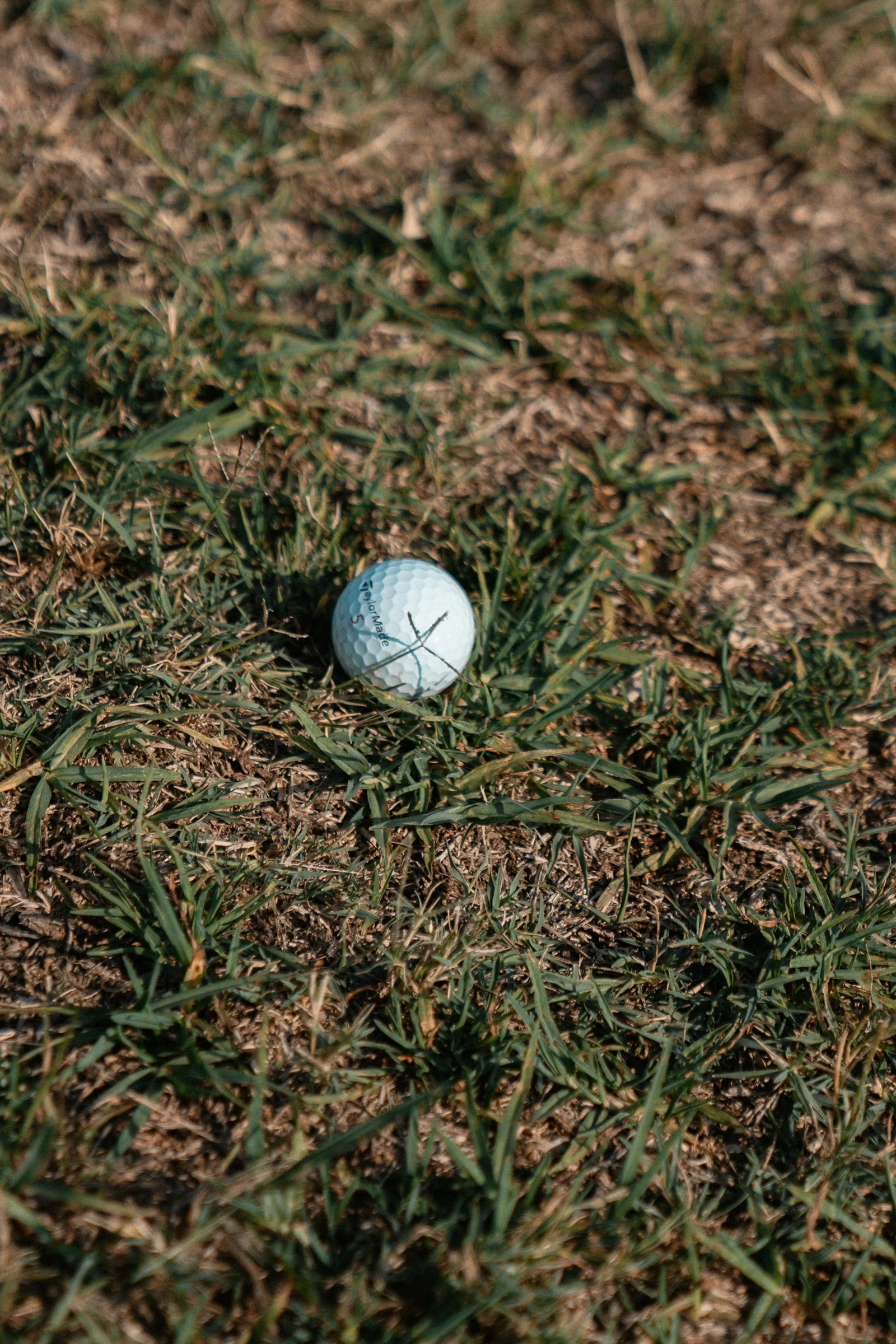 5 Day Kenya Coast Golf and Tsavo Safari: Vipingo Ridge and Nyali image 2