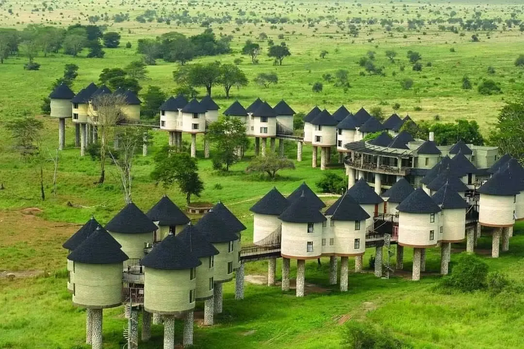 Taita Hills Salt Lick Safari, 2 Days from Nairobi image 1