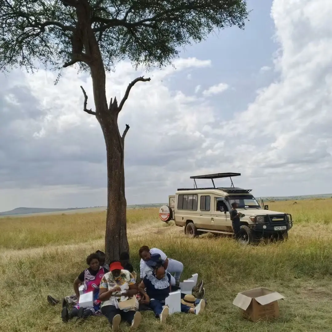 4 Day Masai Mara Migration Luxury Safari in a Private Conservancy image 3