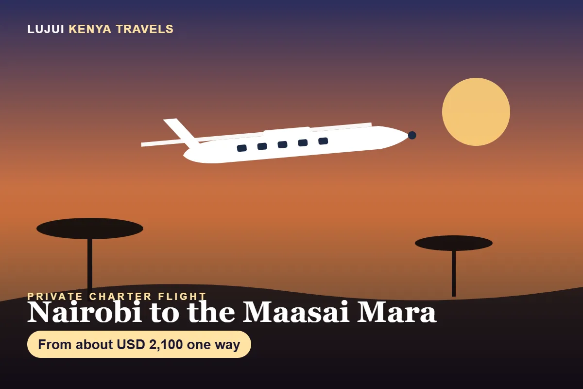 Private Charter Flight Nairobi to Maasai Mara image 1