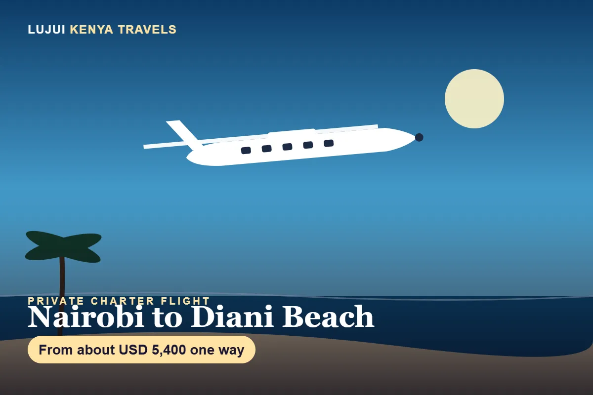 Private Charter Flight Nairobi to Diani (Ukunda) image 8