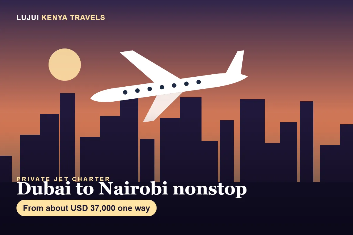 Private Jet Dubai to Nairobi and Nairobi to Dubai image 1