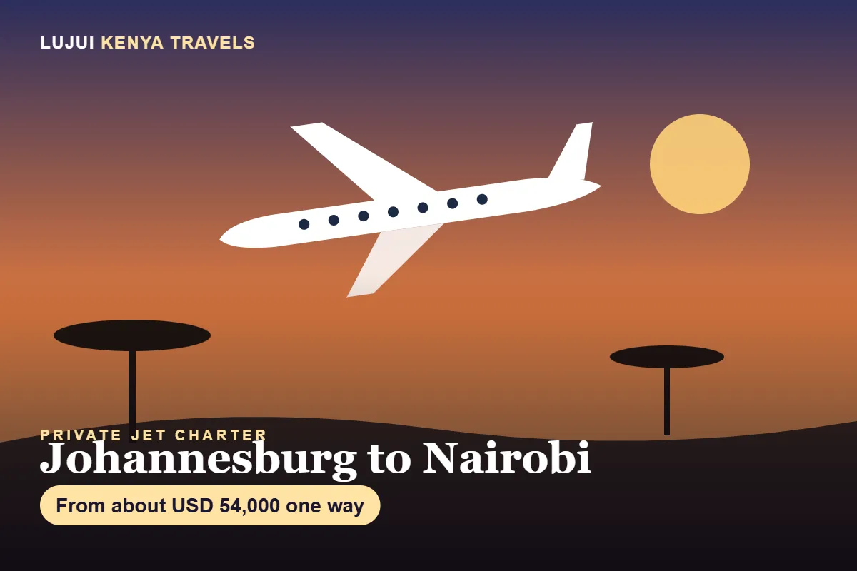 Private Jet Johannesburg to Nairobi and Nairobi to Johannesburg image 1