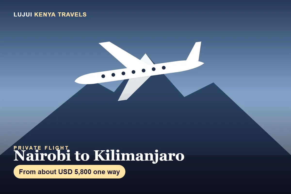 Private Jet Nairobi to Kilimanjaro and Arusha image 1