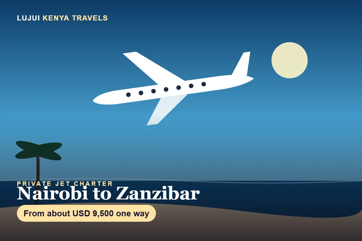 Private Jet Charter Nairobi to Zanzibar image 8