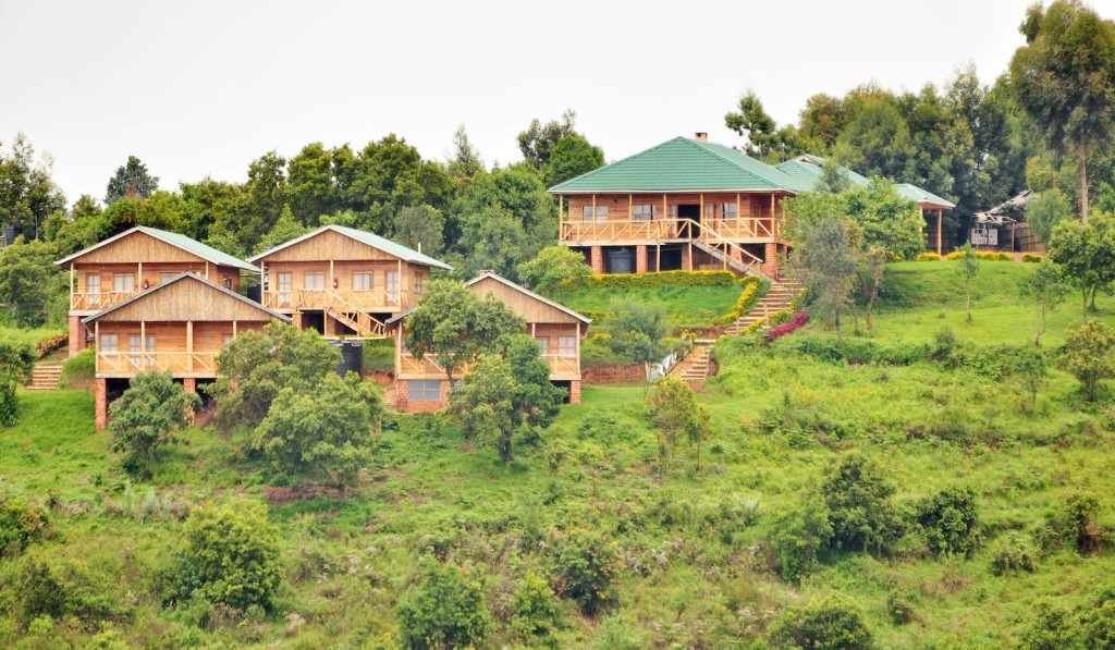Broadbill Forest Camp 