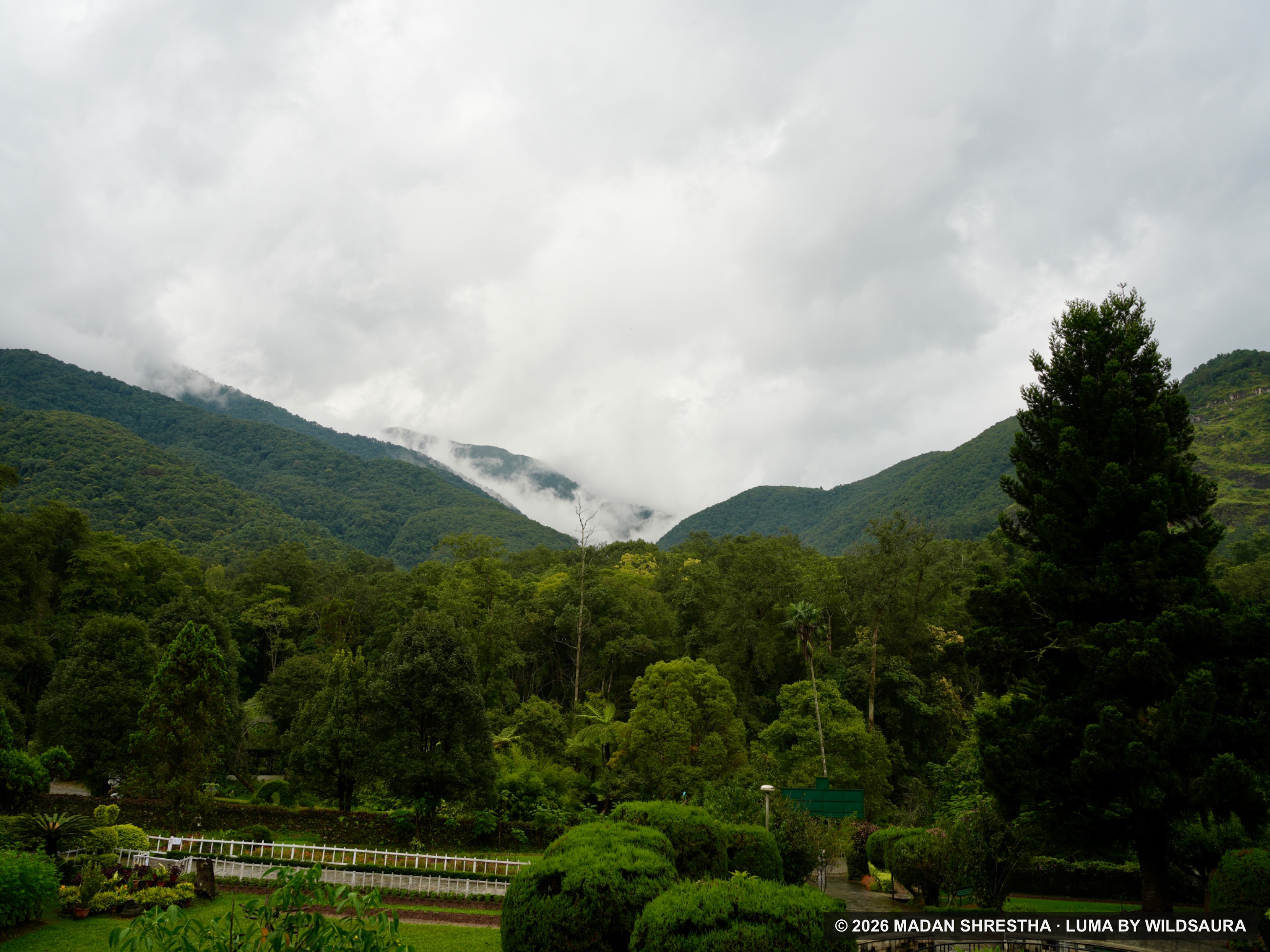 Lush green forested mountains rising behind a landscaped garden with trimmed hedges, white fences, and low clouds resting in the mountain valley.