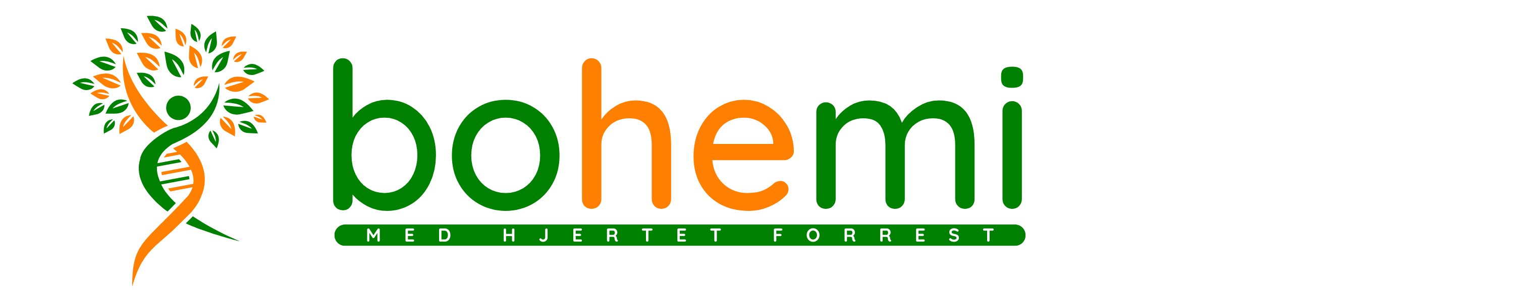 Heidi Desire Kristoffersen  logo