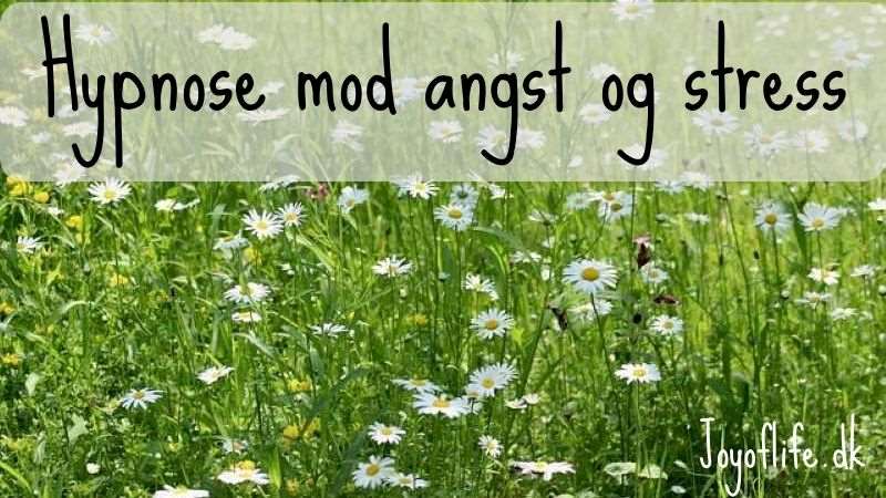 Hypnose mod angst og stress 