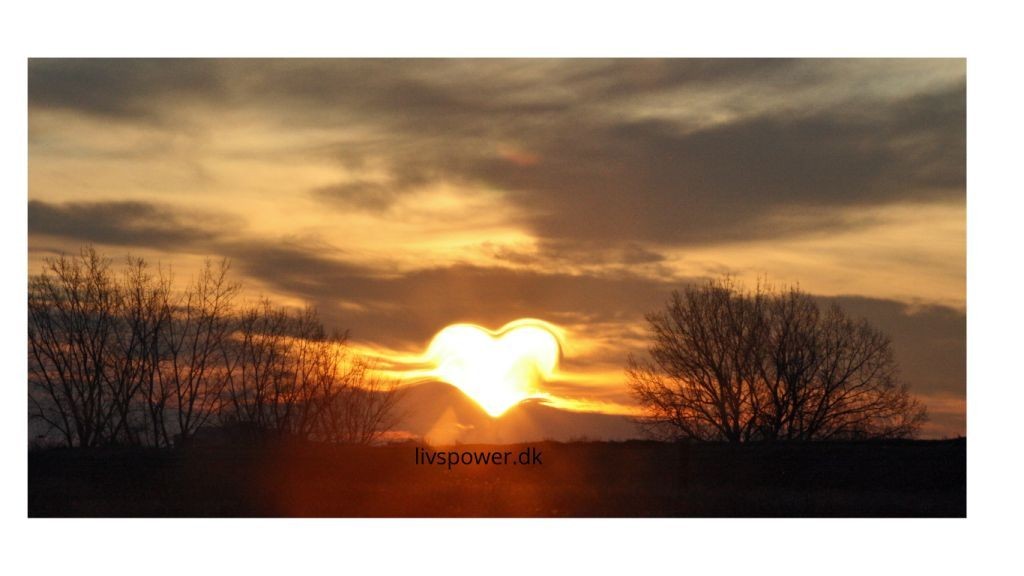 kom videre nu i dit liv-kursusonline