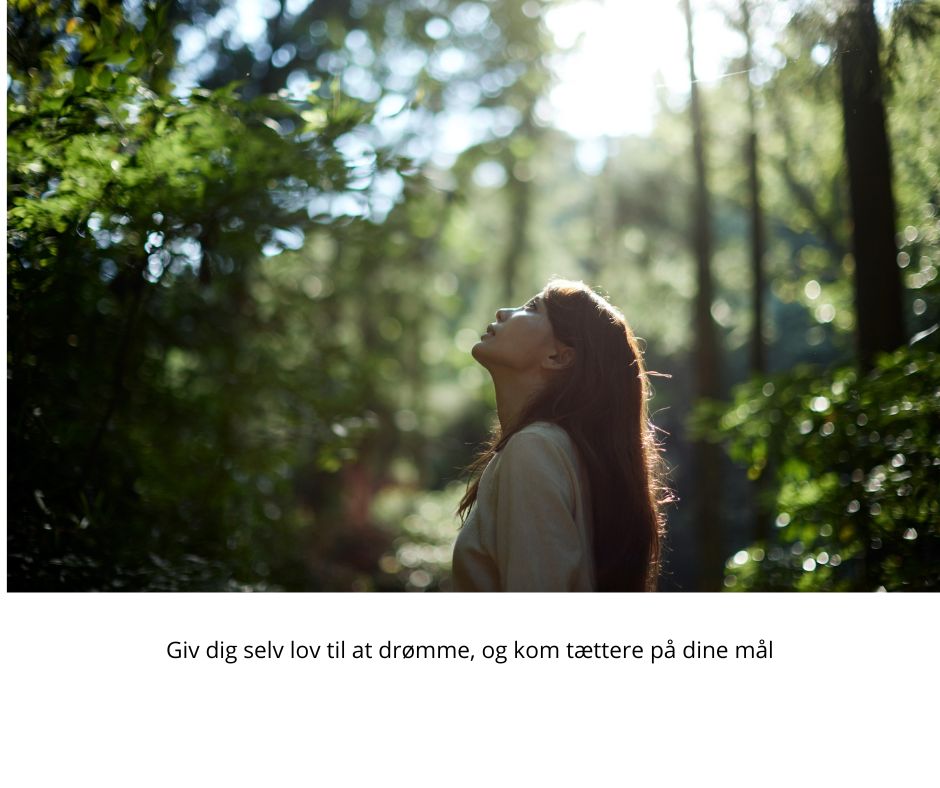 sådan omsætter du dine drømme til virkelighed