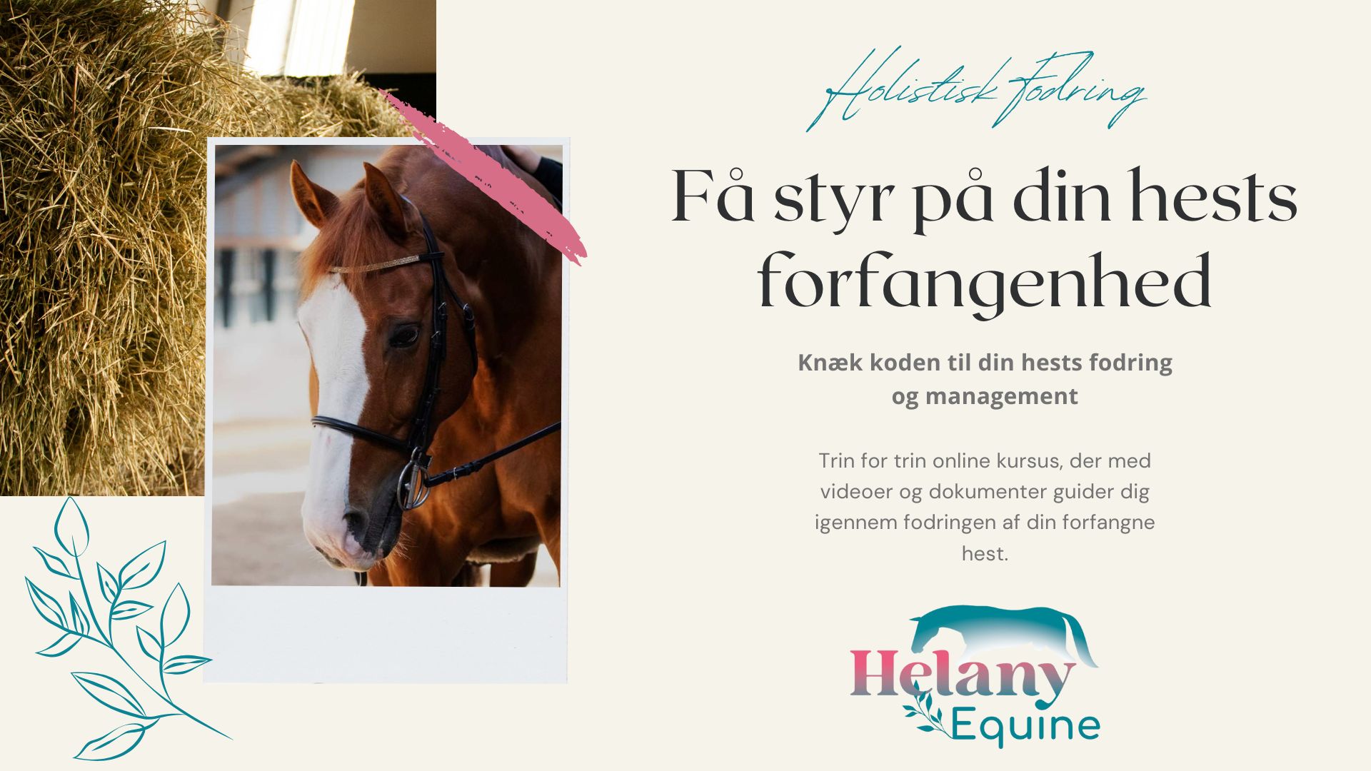 Sådan får du styr på din hests forfangenhed