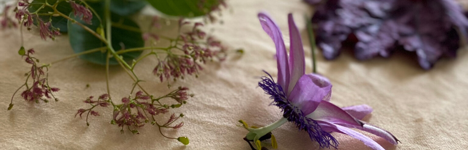 Beskrivende billedtekst