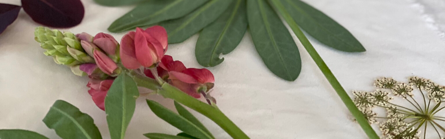 Beskrivende billedtekst