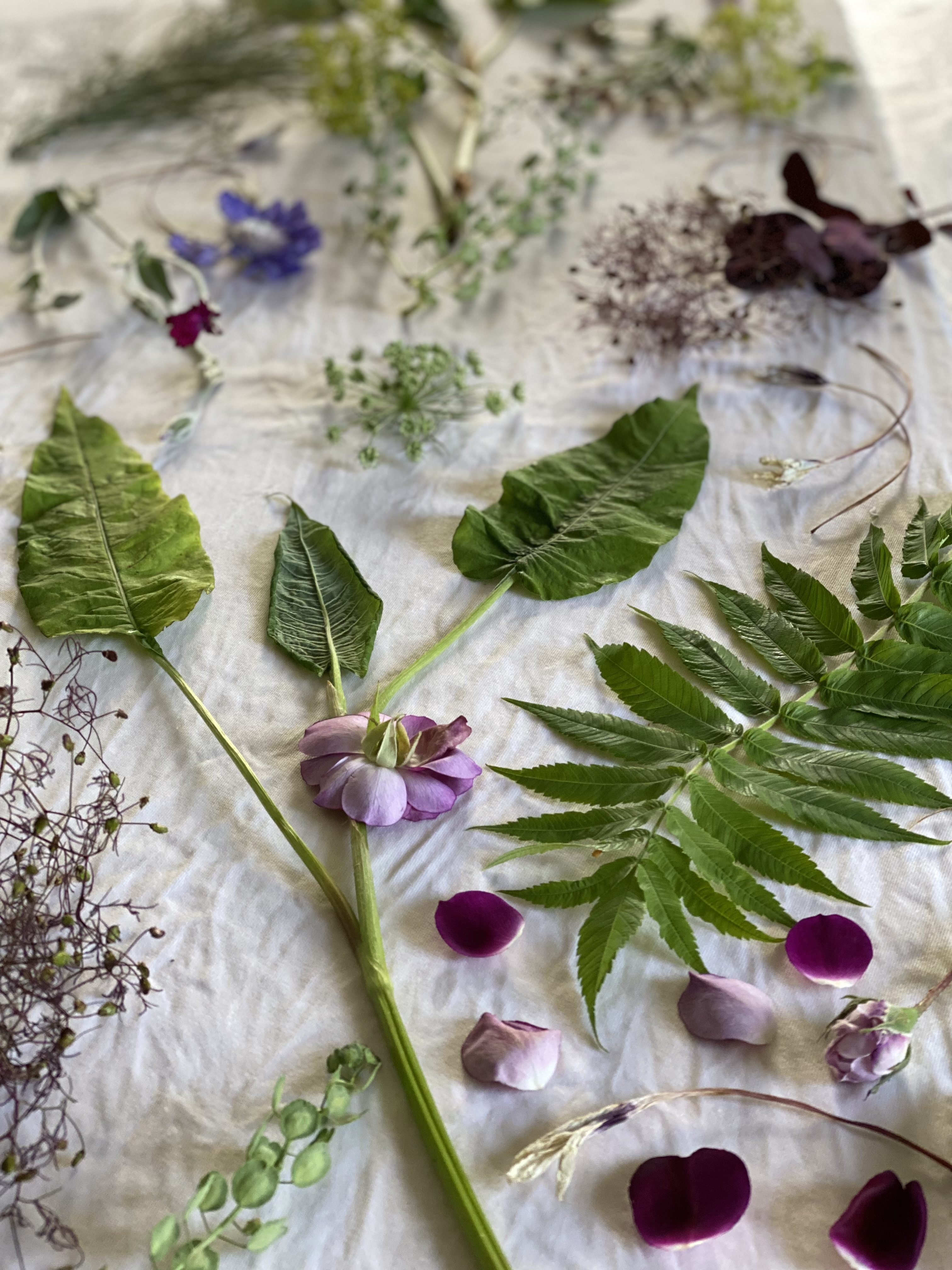 Beskrivende billedtekst