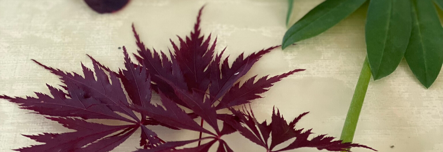 Beskrivende billedtekst