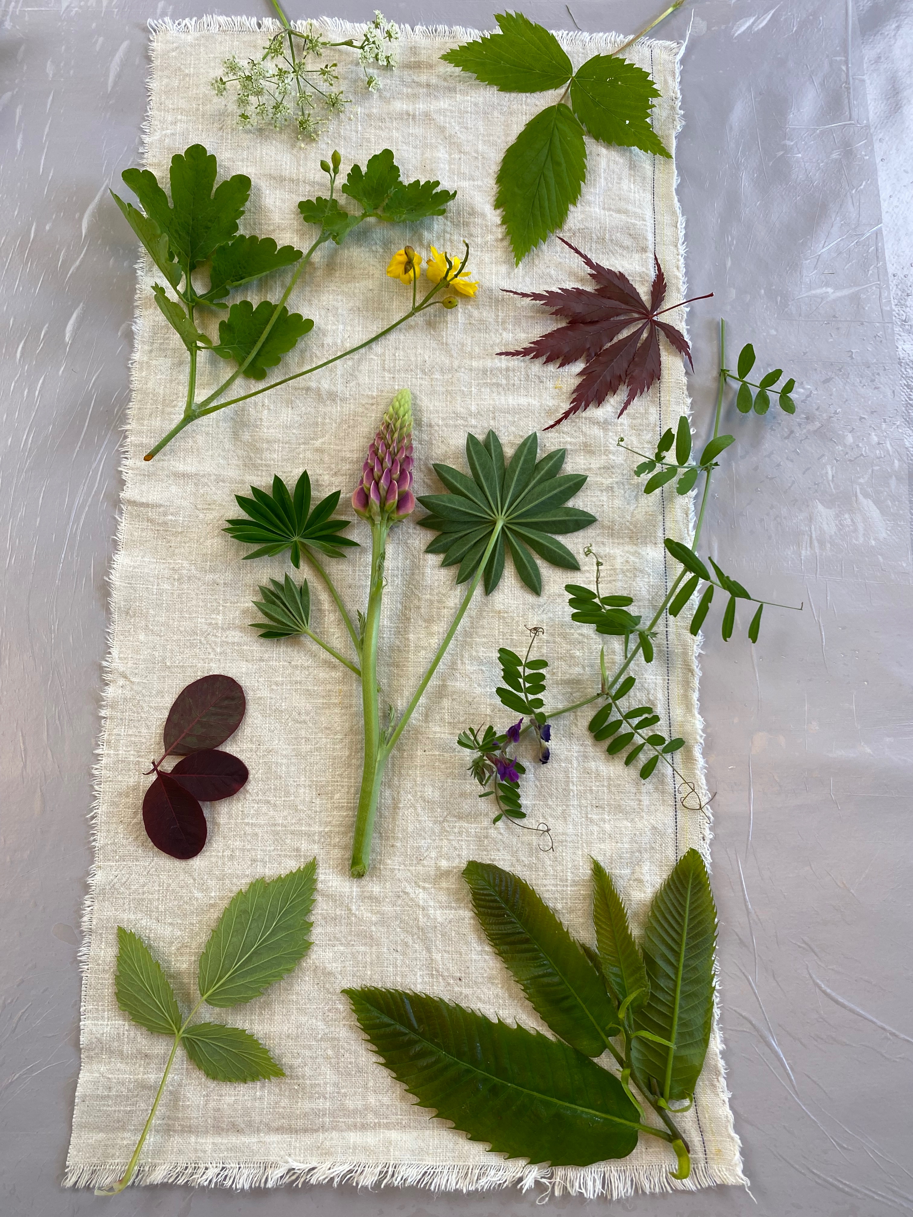 Beskrivende billedtekst