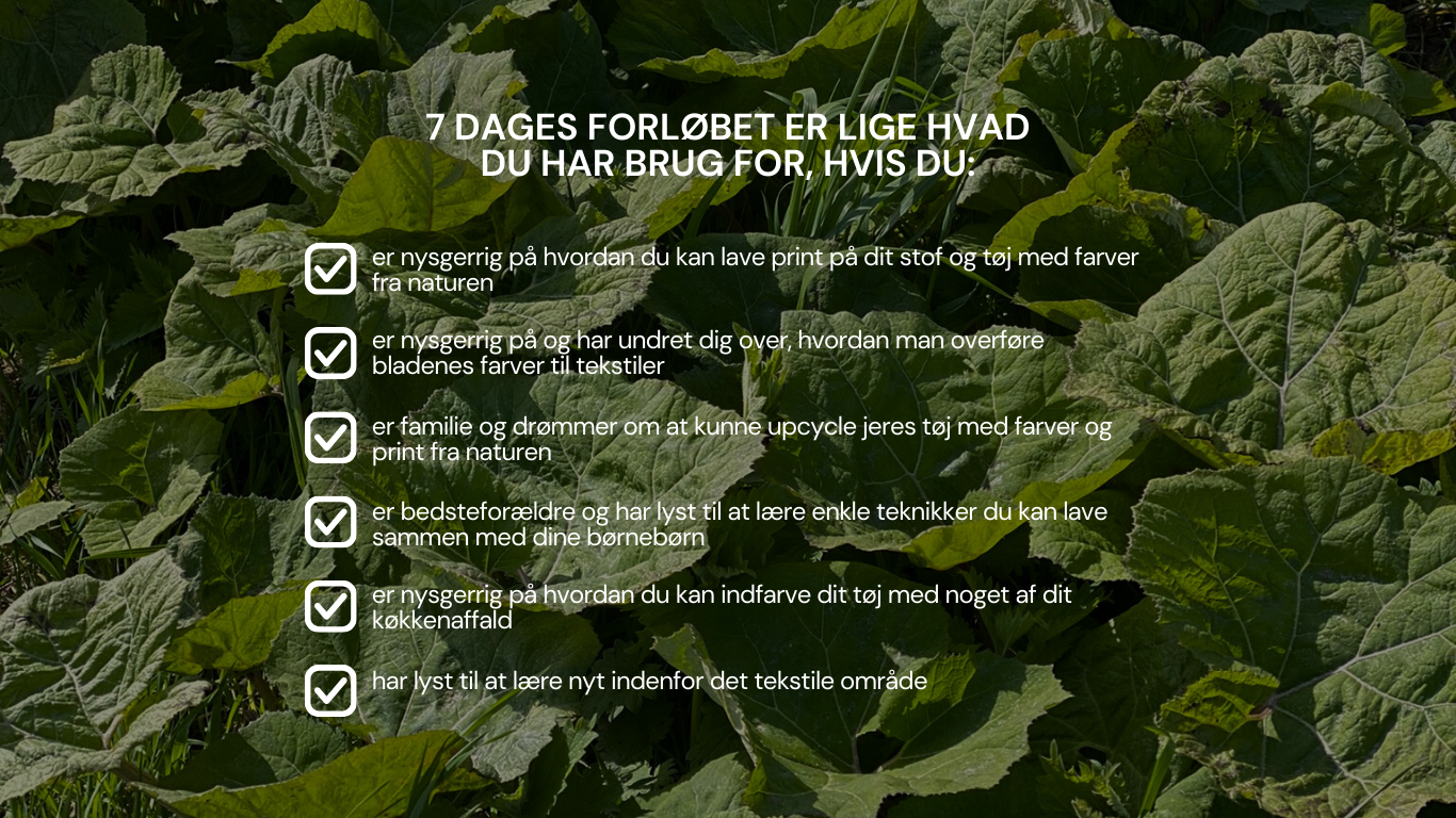 Beskrivende billedtekst