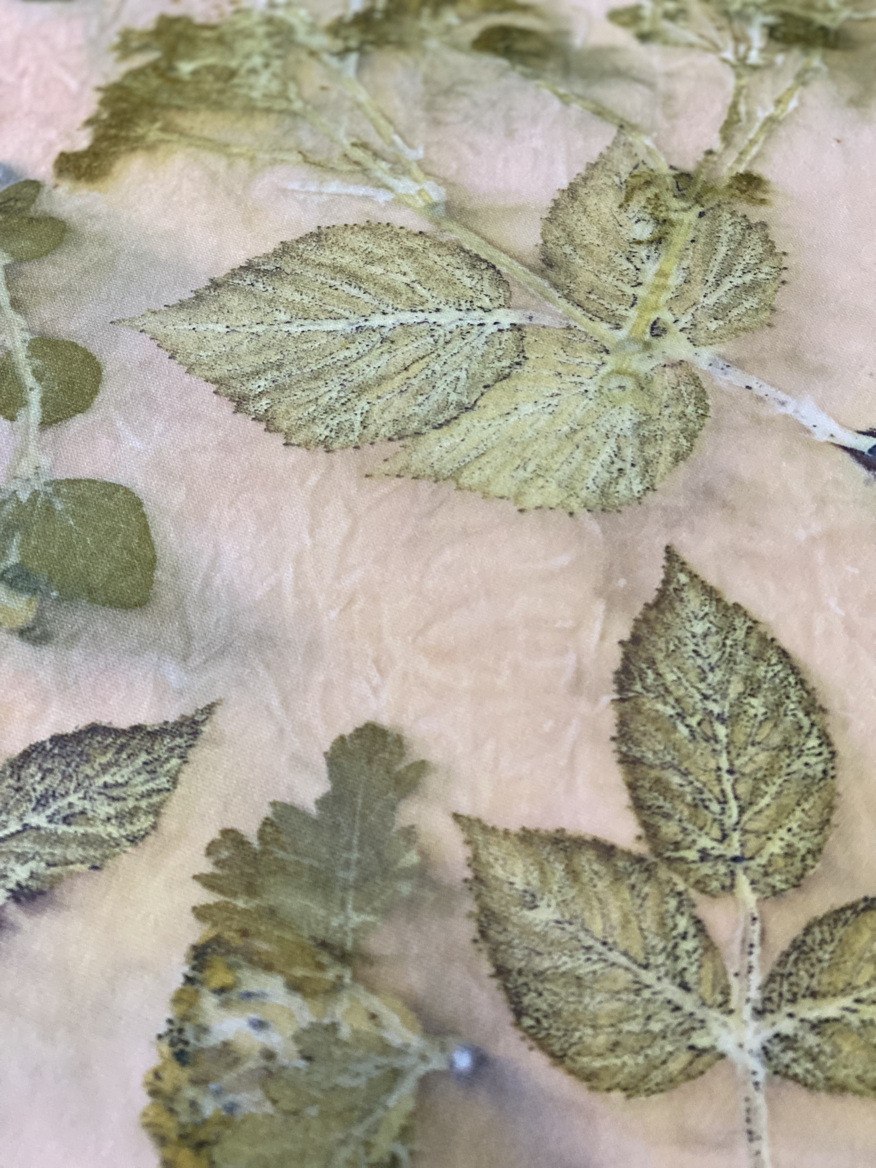 Beskrivende billedtekst