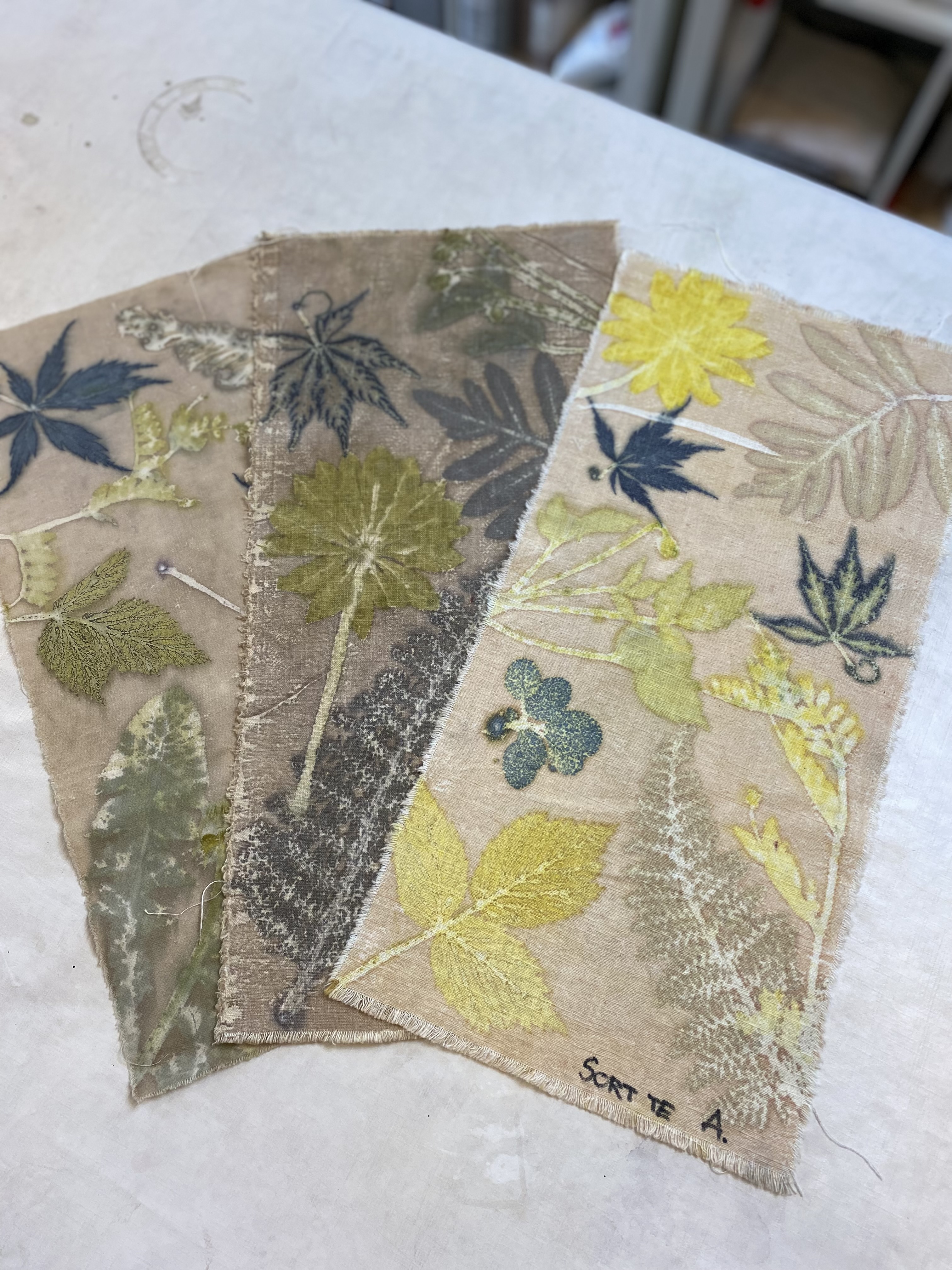 Beskrivende billedtekst