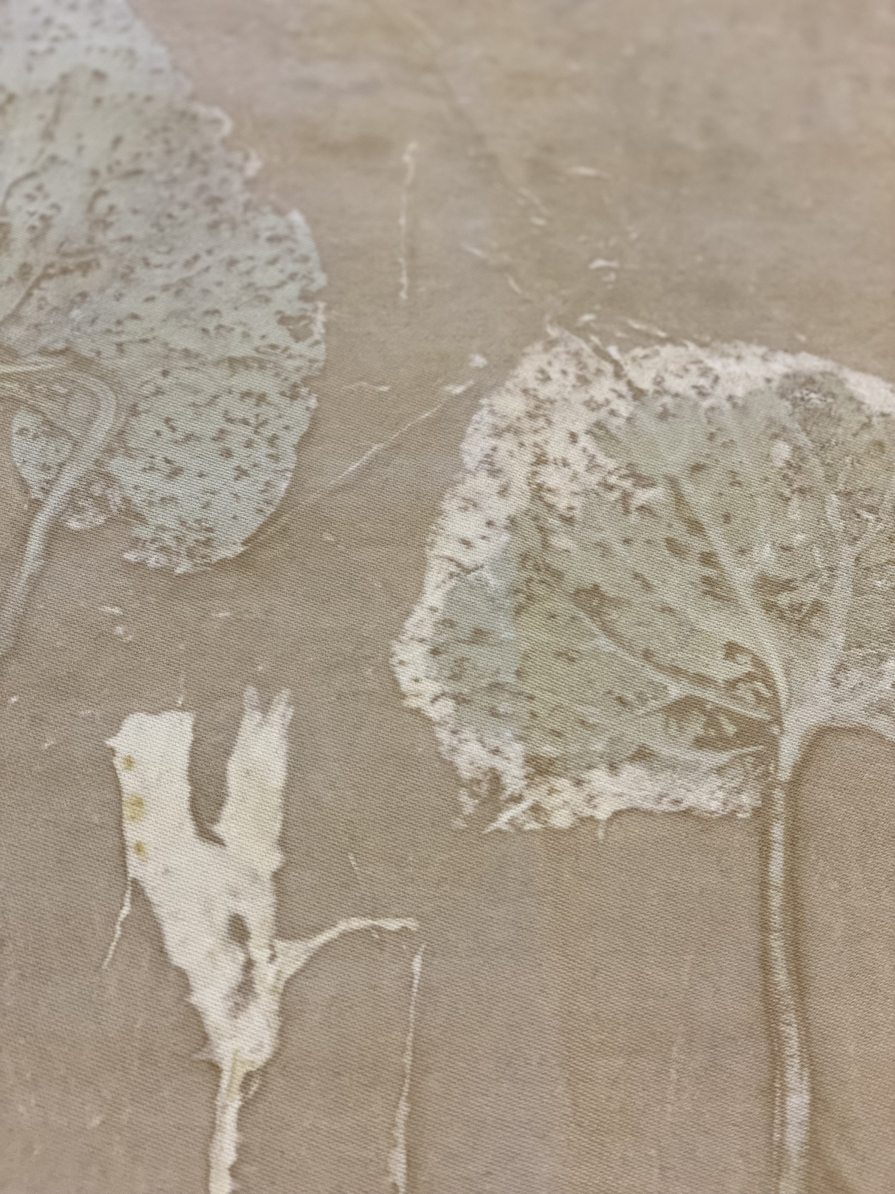 Beskrivende billedtekst