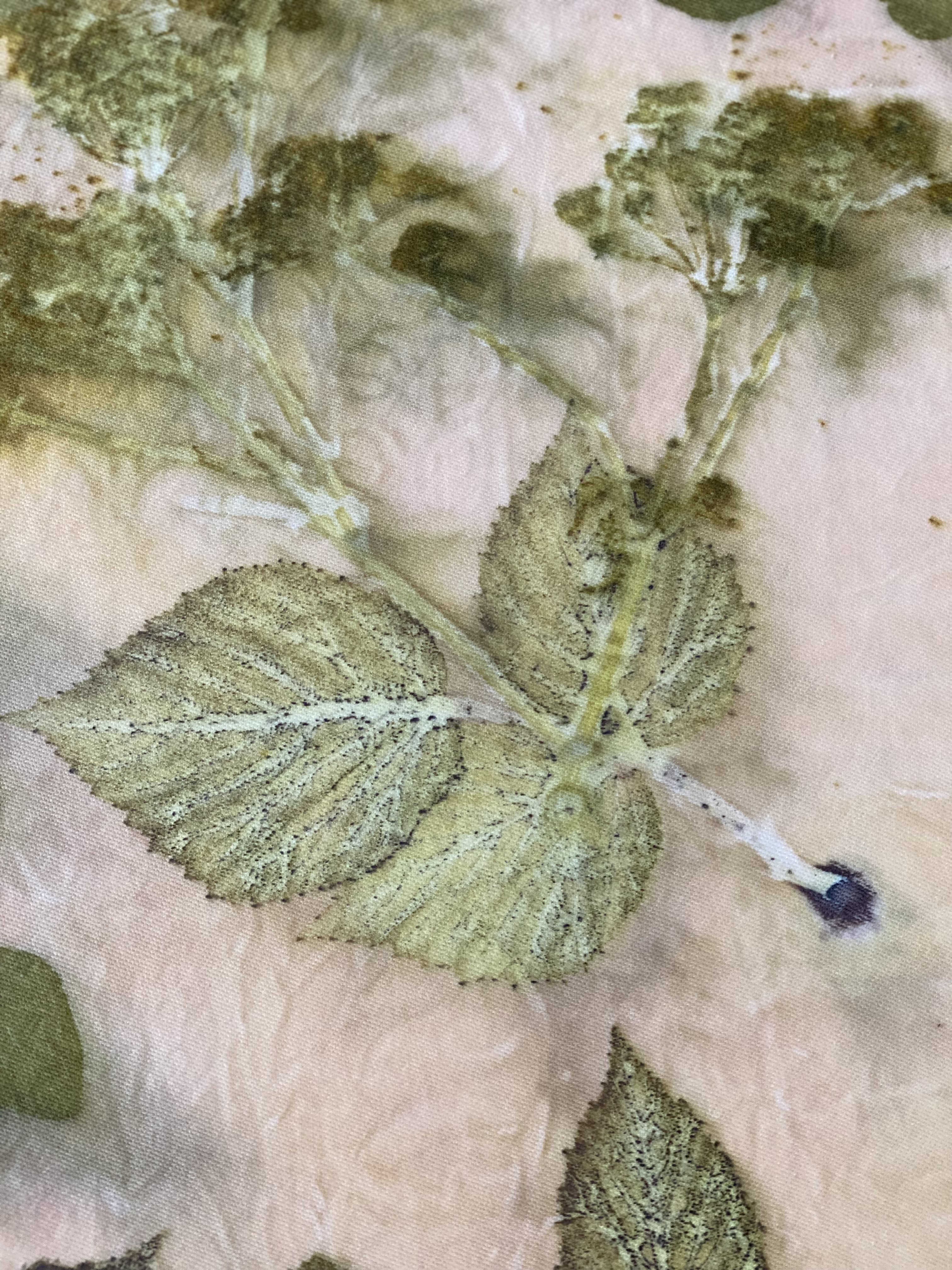 Beskrivende billedtekst