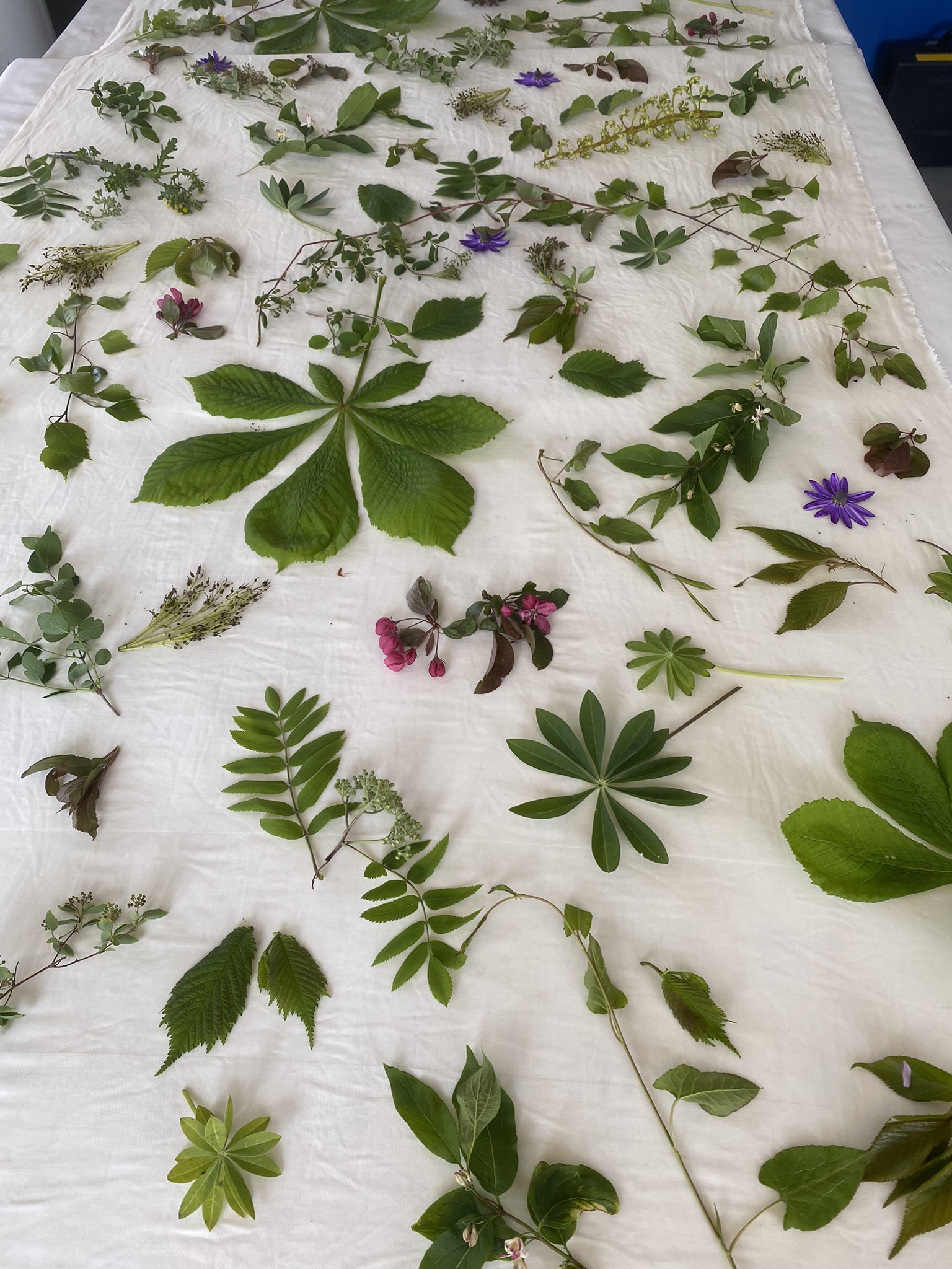 Beskrivende billedtekst