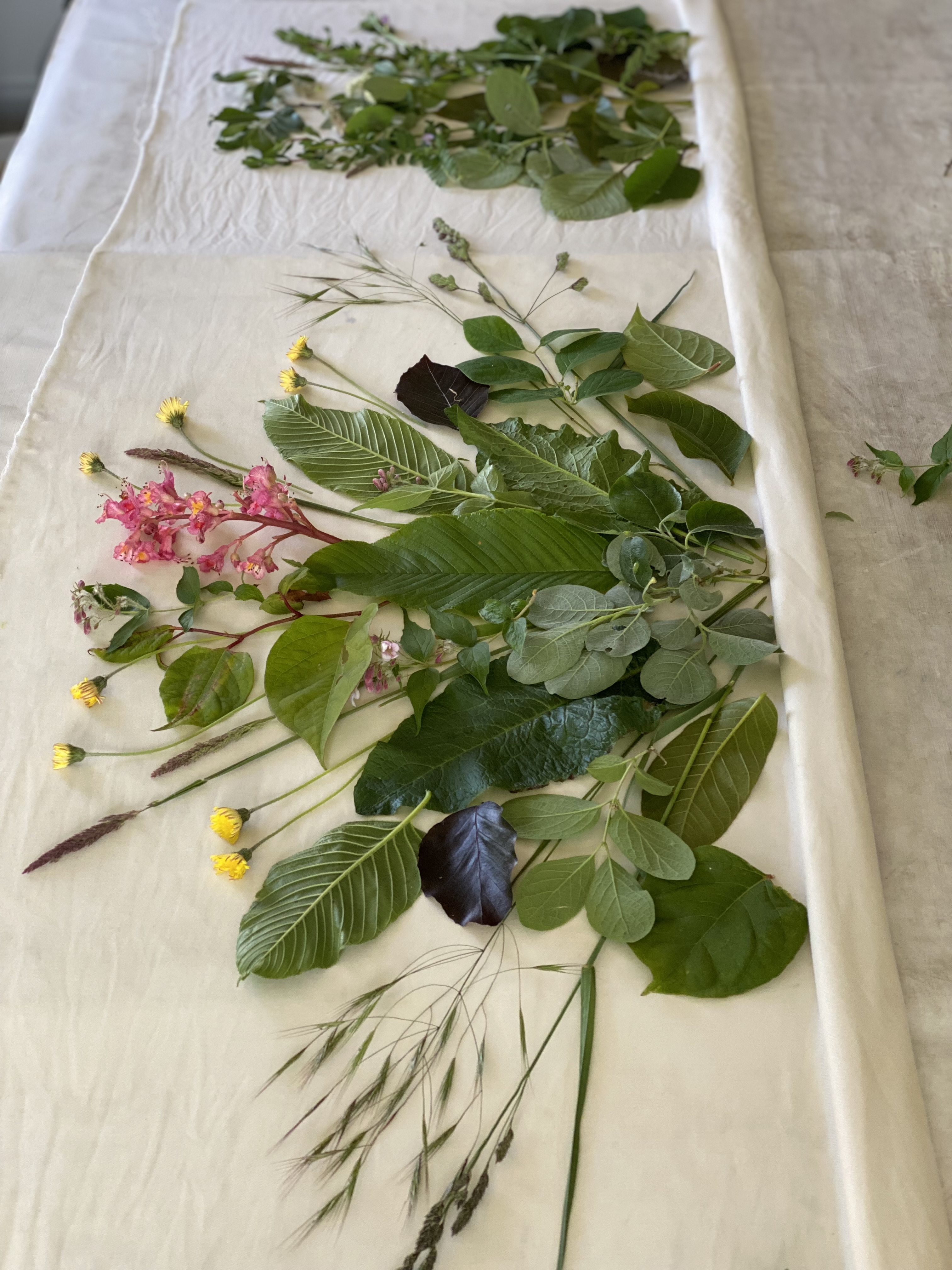 Beskrivende billedtekst