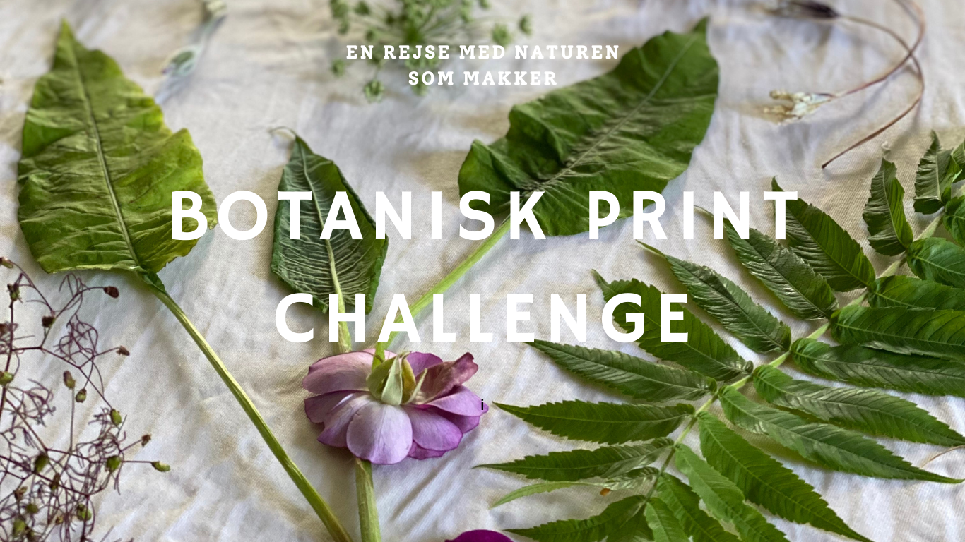 Beskrivende billedtekst