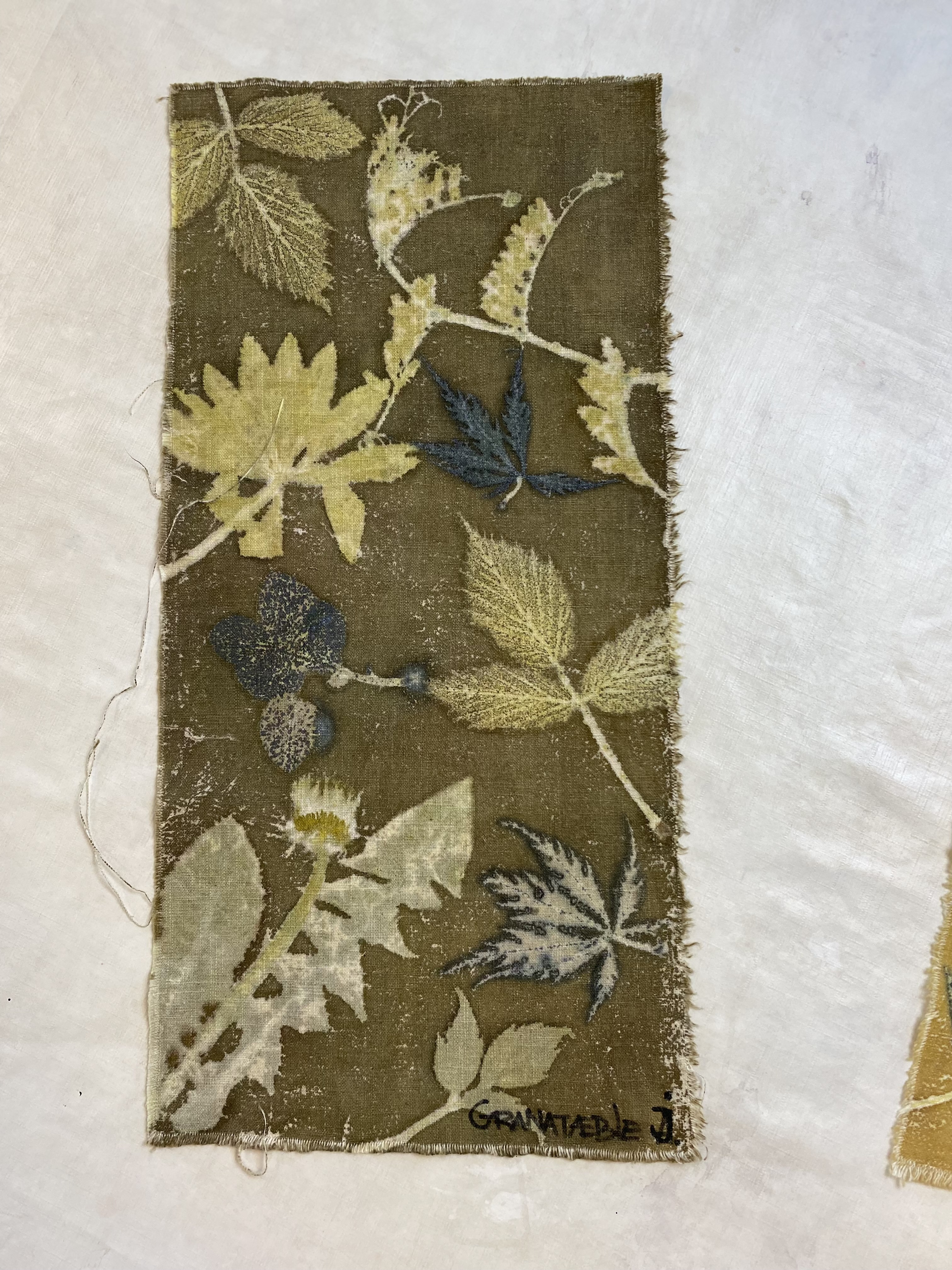 Beskrivende billedtekst