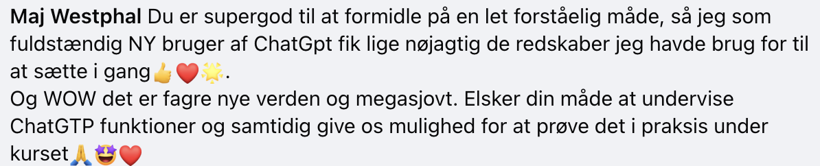 Beskrivende billedtekst